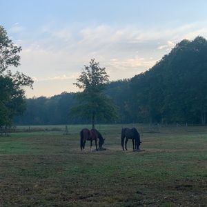 Meet your Posher, Justin